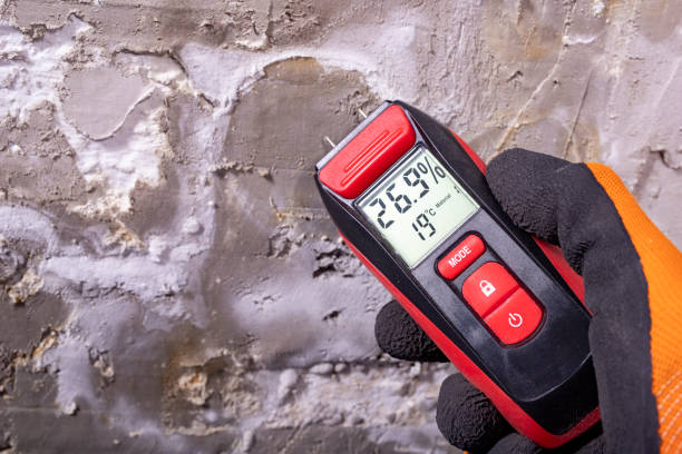 Water Damage Restoration in Beecher, MI
