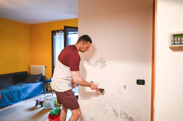 Best Toxic Mold Removal  in Beecher, MI